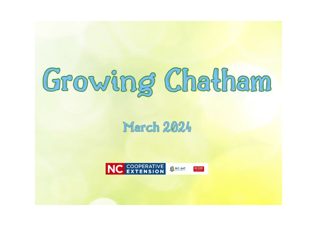 Growing Chatham 3/24 cover page