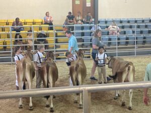 Cover photo for Rafter T. Wranglers Club Excels at Junior 4-H Dairy Show