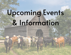 Cover photo for Livestock & Forages July Newsletter
