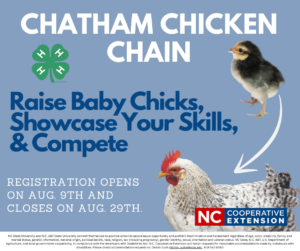 Cover photo for 4-H Youth Chicken Chain (Raise Chicks & Show Them)