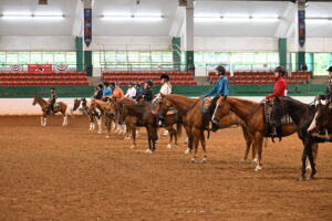 Cover photo for September 2024 NC 4-H Horse Program Newsletter