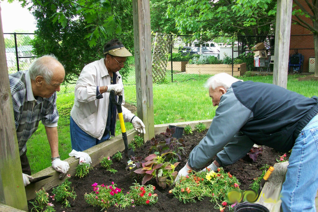 old folks gardening