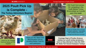 collage about poult pickup